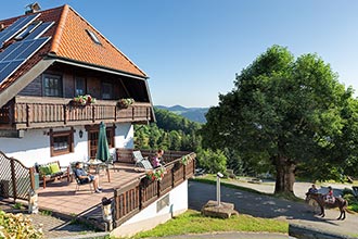 Herrliche Sonnenterrasse und Balkon