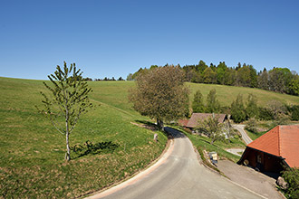 Ausblick Ihrer Ferienwohnung