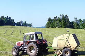 Das Heu wird eingeholt