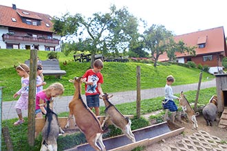 Wenn es etwas zu Fressen gibt, sind alle da