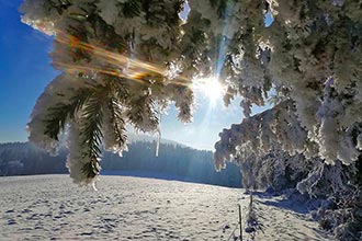 Märchenhaft vereiste Winterlandschaft