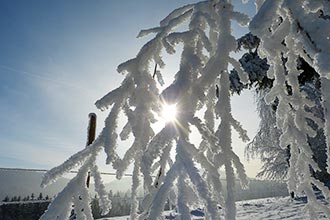 Märchenhaft vereiste Winterlandschaft